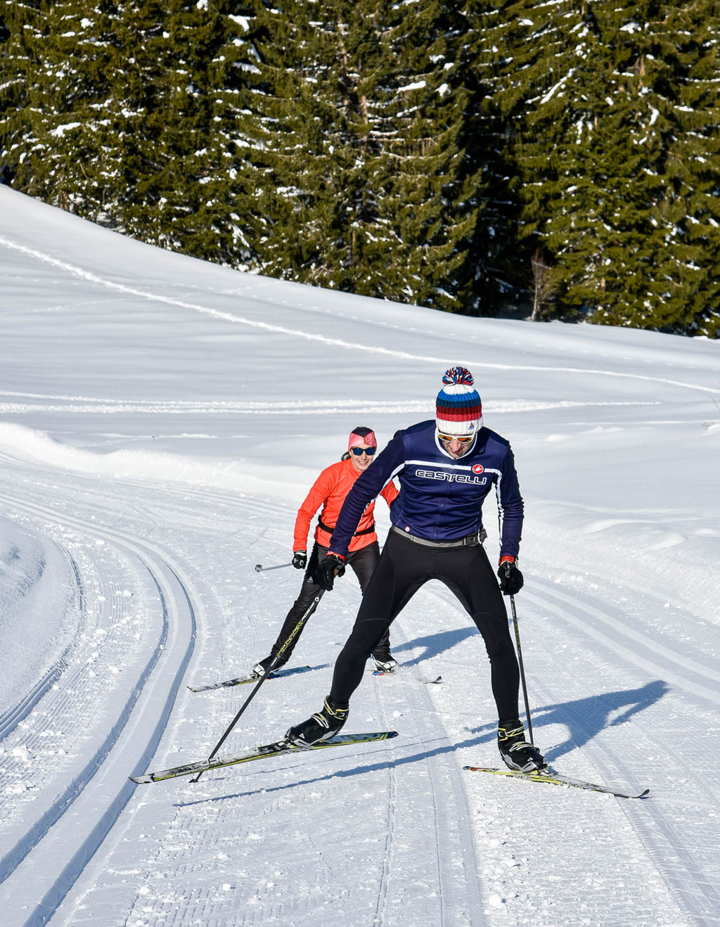 nordic ski
