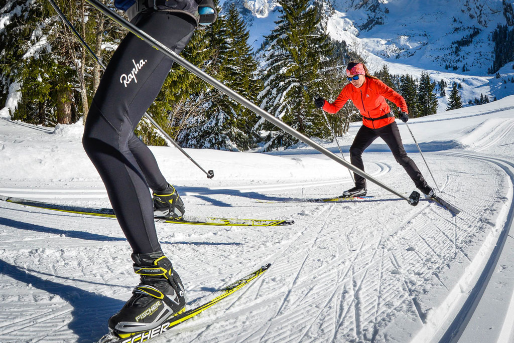 nordic ski